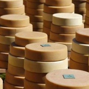 Черный список продуктов: откуда масло в украинском сыре