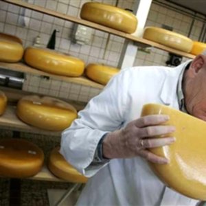 Короткий запрет. Кто помог вернуть украинский сыр в Россию