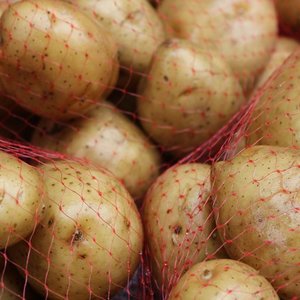 Bihus.info: Минобороны до скандала с яйцами собиралось покупать картофель по 27 грн